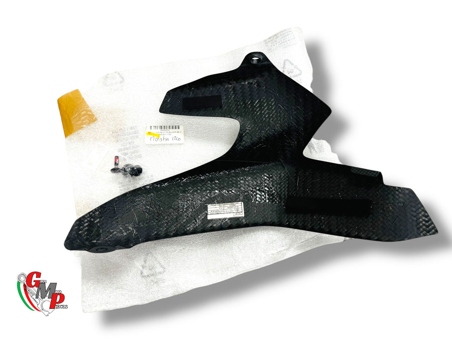 Carbon Swingarm Protector NEW - Ducati Performance
