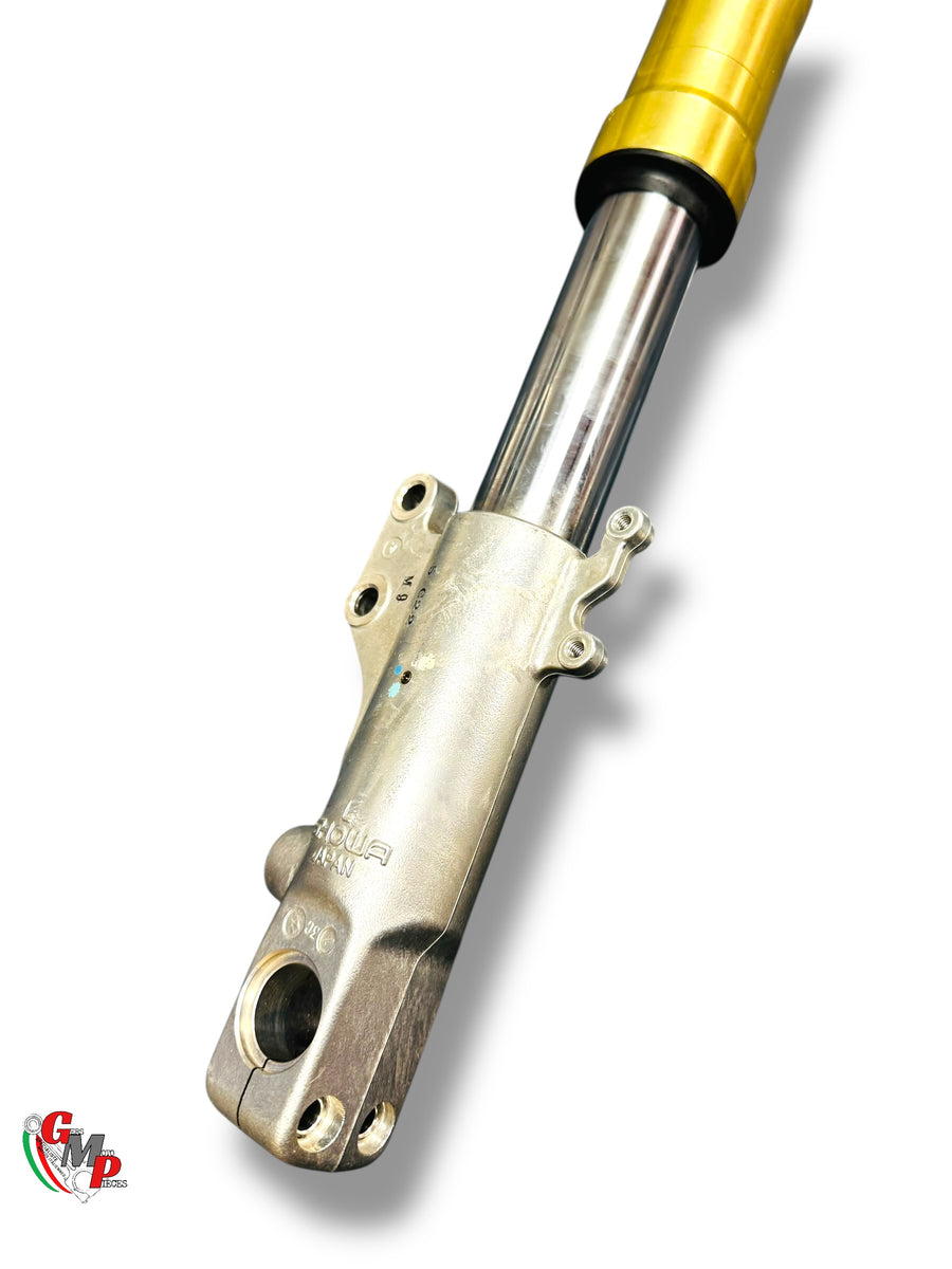 Left Fork Assembly - Ducati
