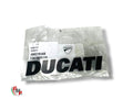 Ducati Decal NEW - Ducati
