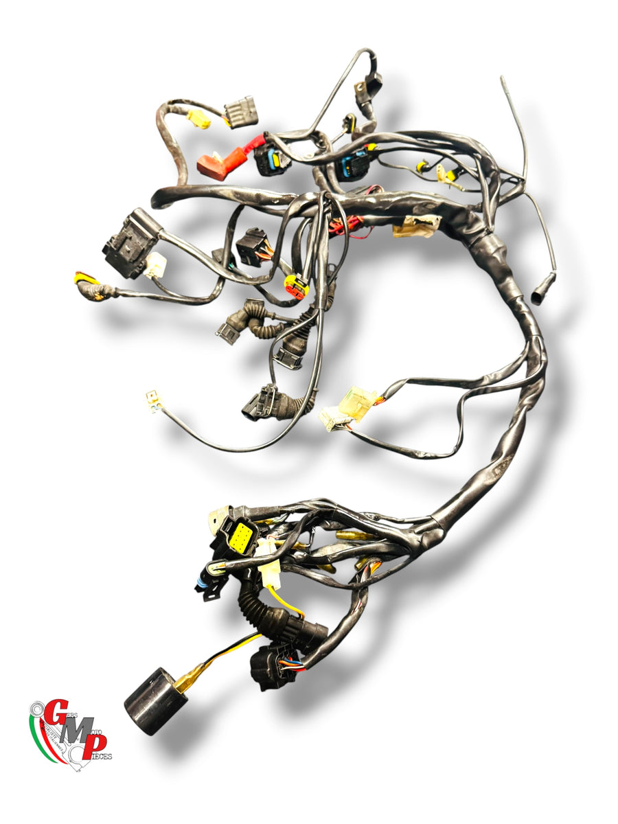 Wire Harness - Ducati