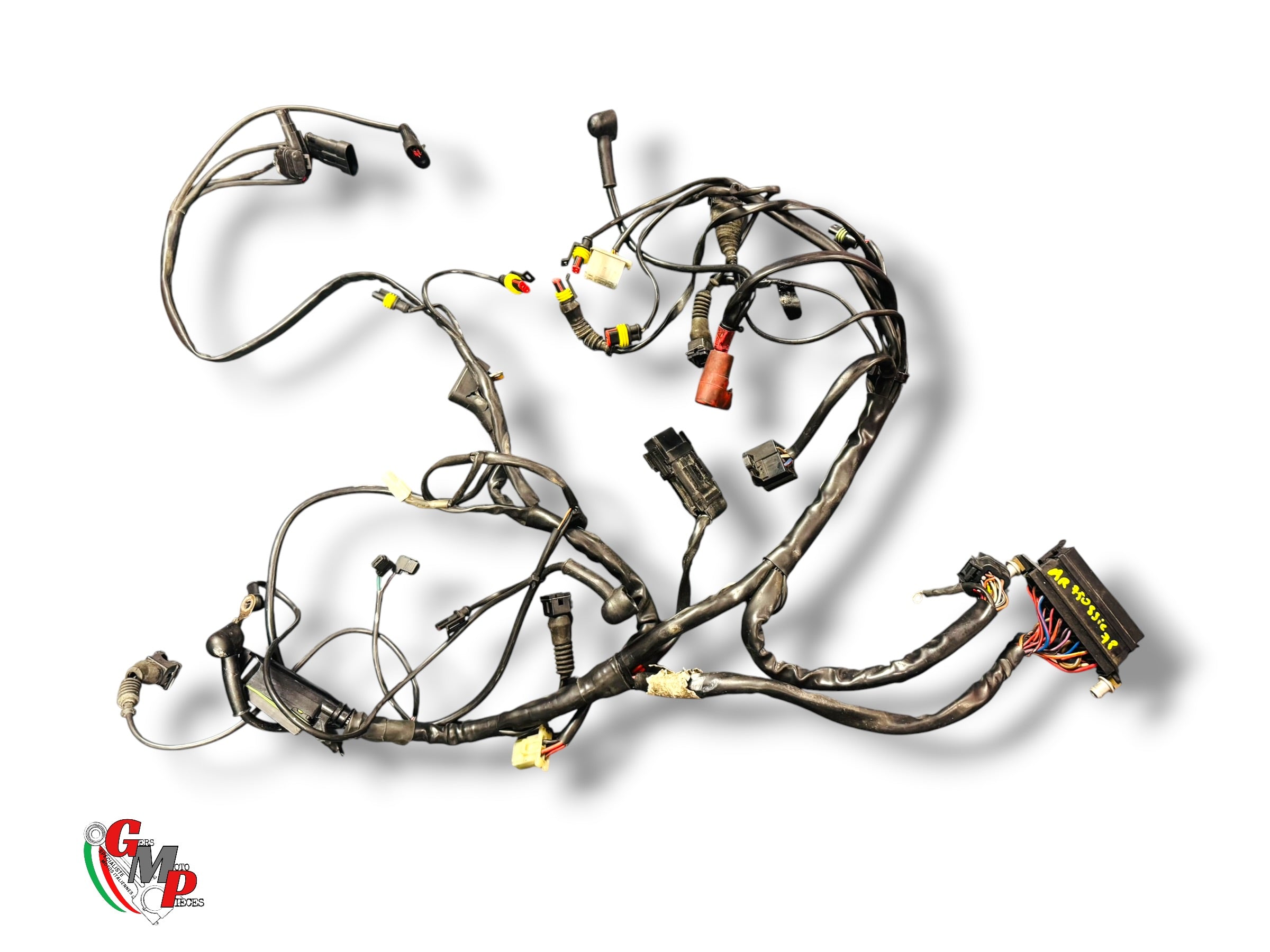 Faisceau Electrique Principal - Ducati