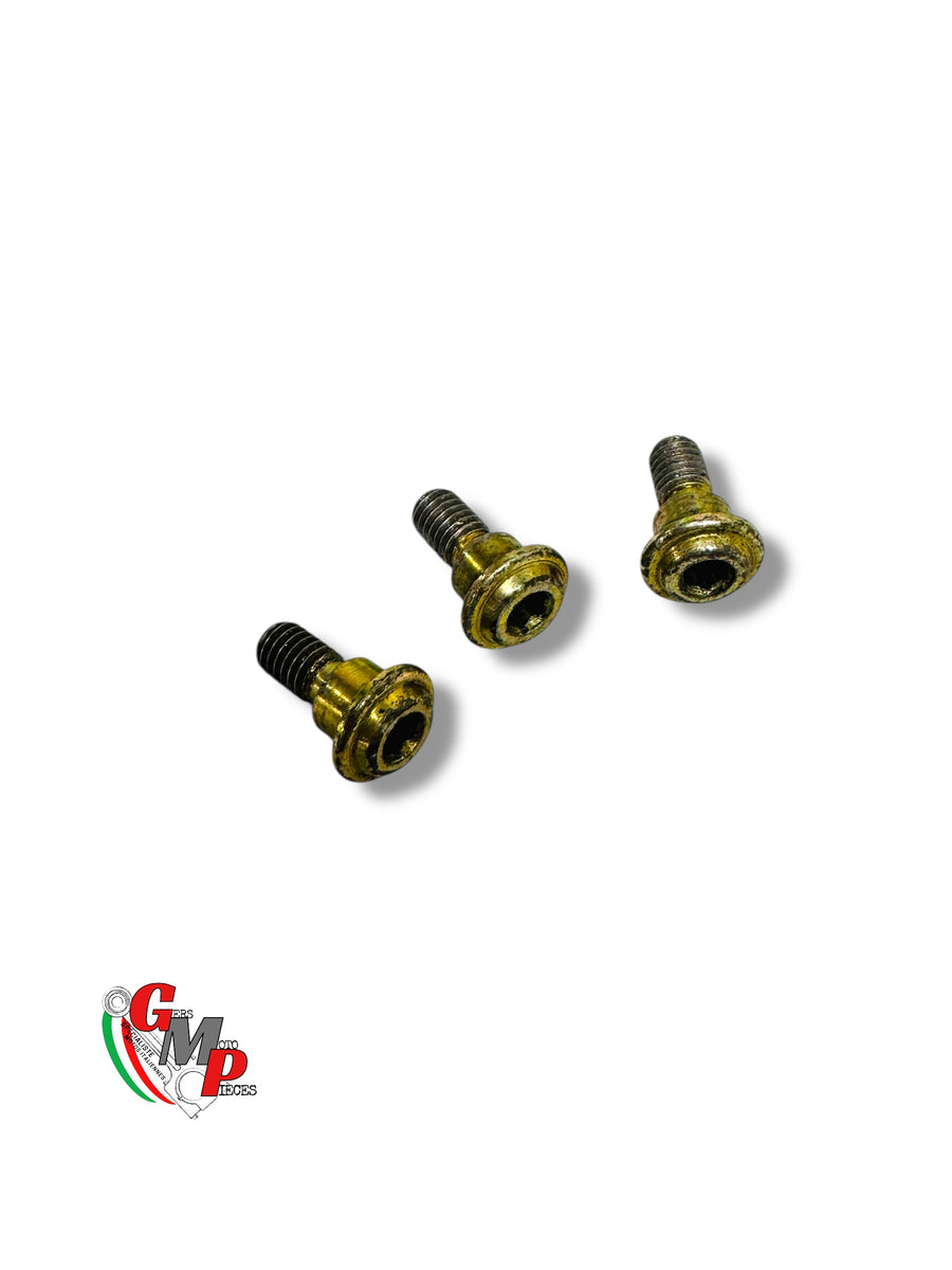 Fuel pump mounting screw - Ducati