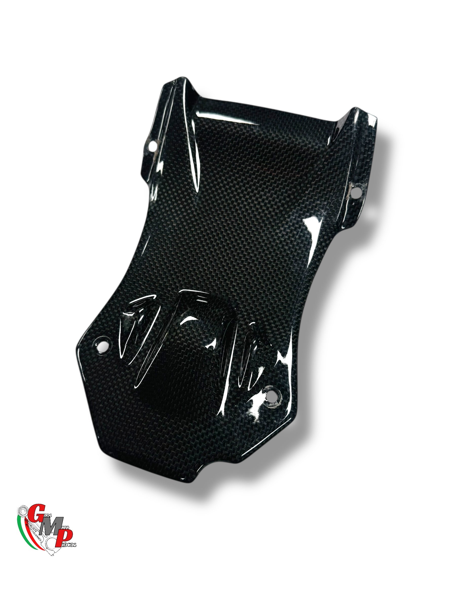 Carbon Fiber Fairing Tail Cover - Ducati