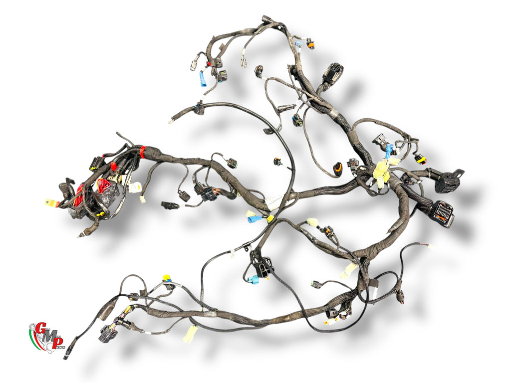 Complete Wiring Harness - Ducati