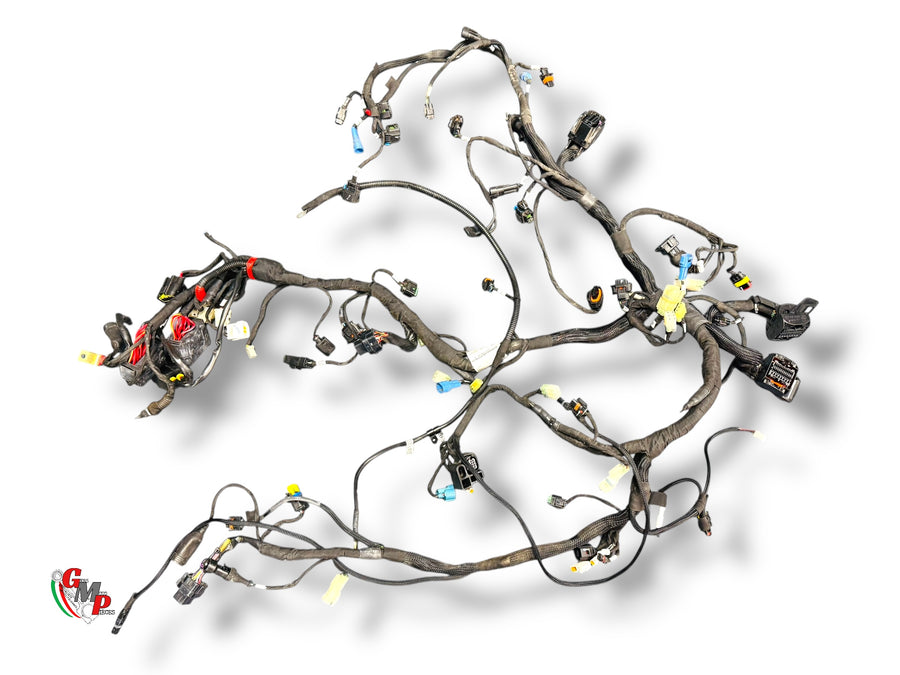 Complete Wiring Harness - Ducati