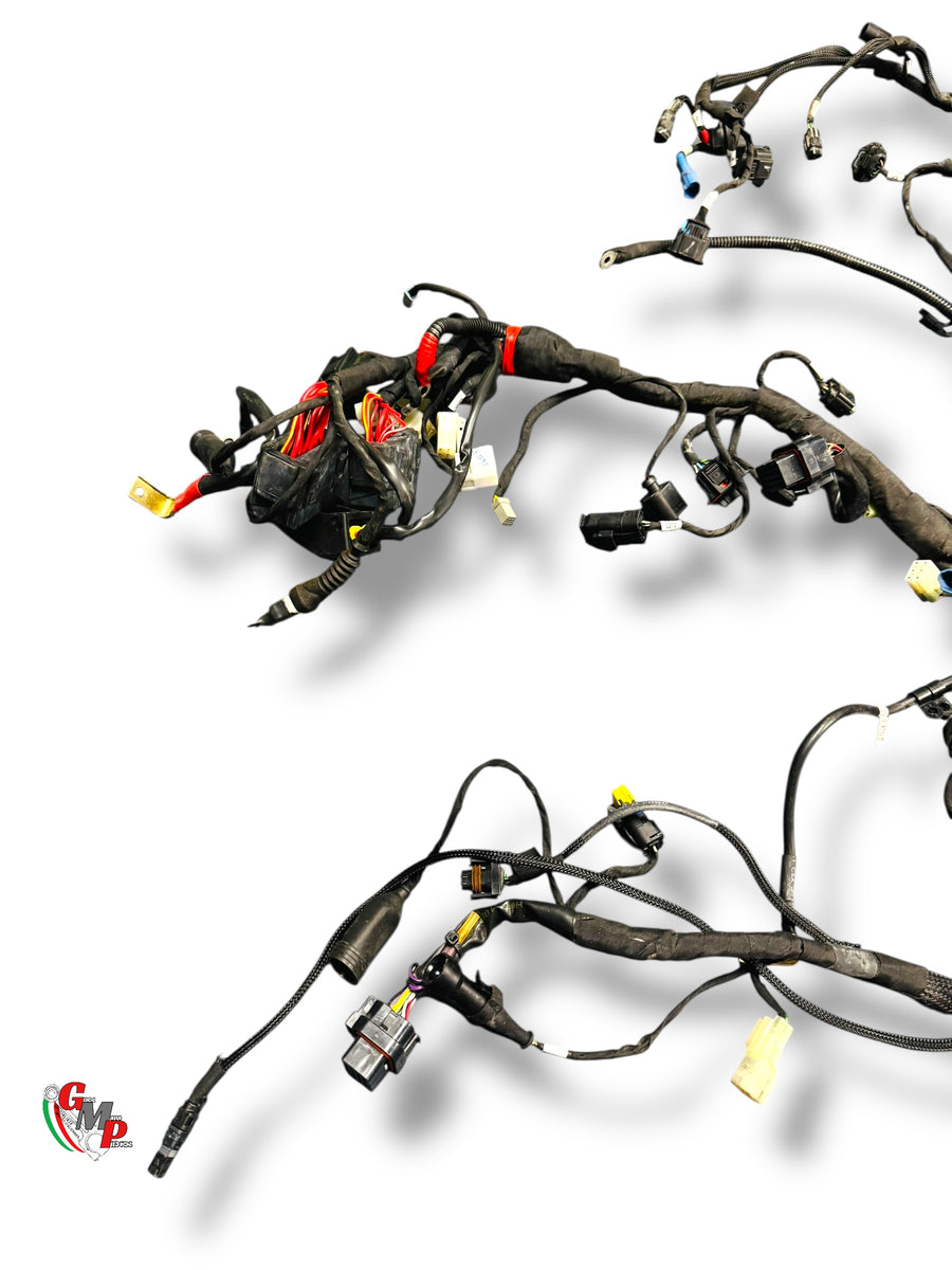 Complete Wiring Harness - Ducati