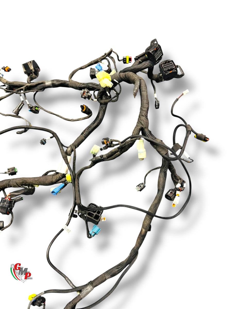 Complete Wiring Harness - Ducati