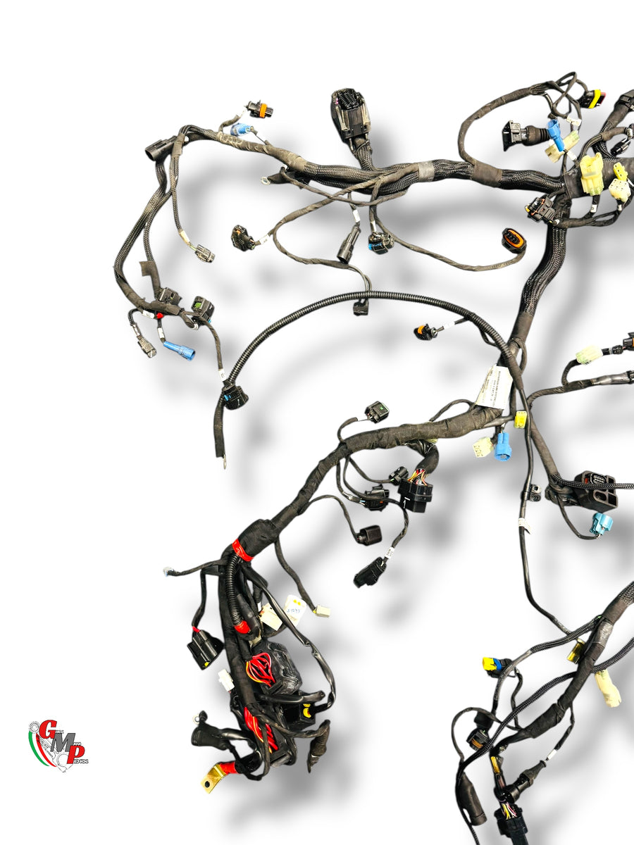 Complete Wiring Harness - Ducati