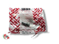 NEW Self-tapping screw - Ducati
