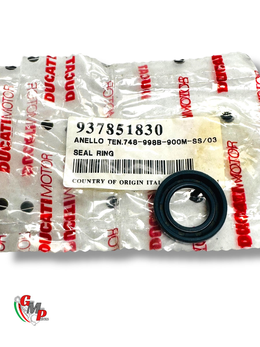 Engine Gasket NEW - Ducati