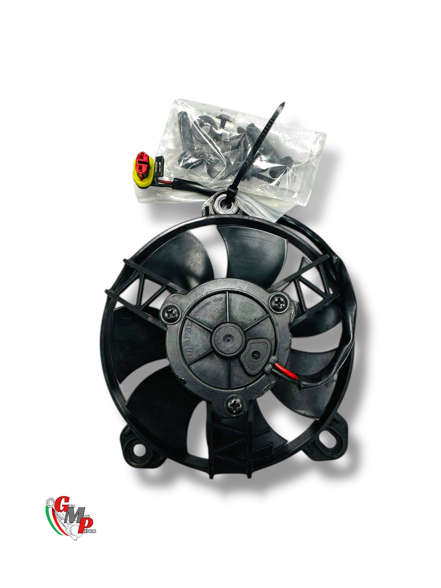 Fan - Ducati