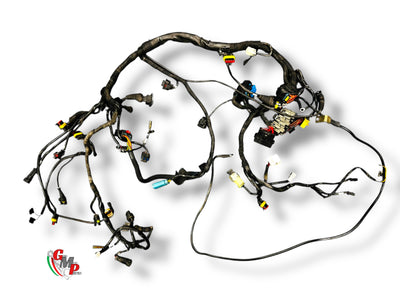 Electrical Harness - Ducati