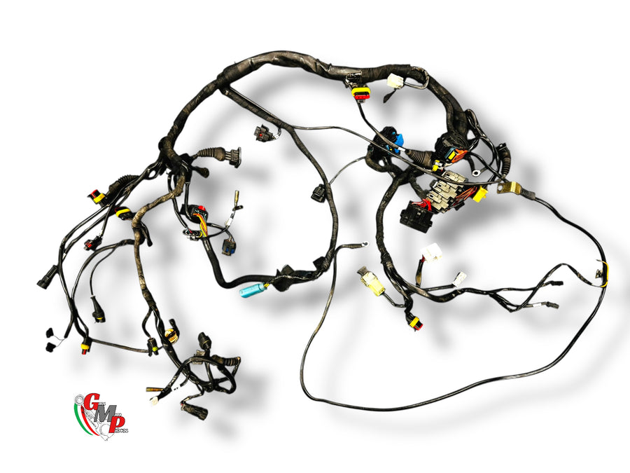 Electrical Harness - Ducati
