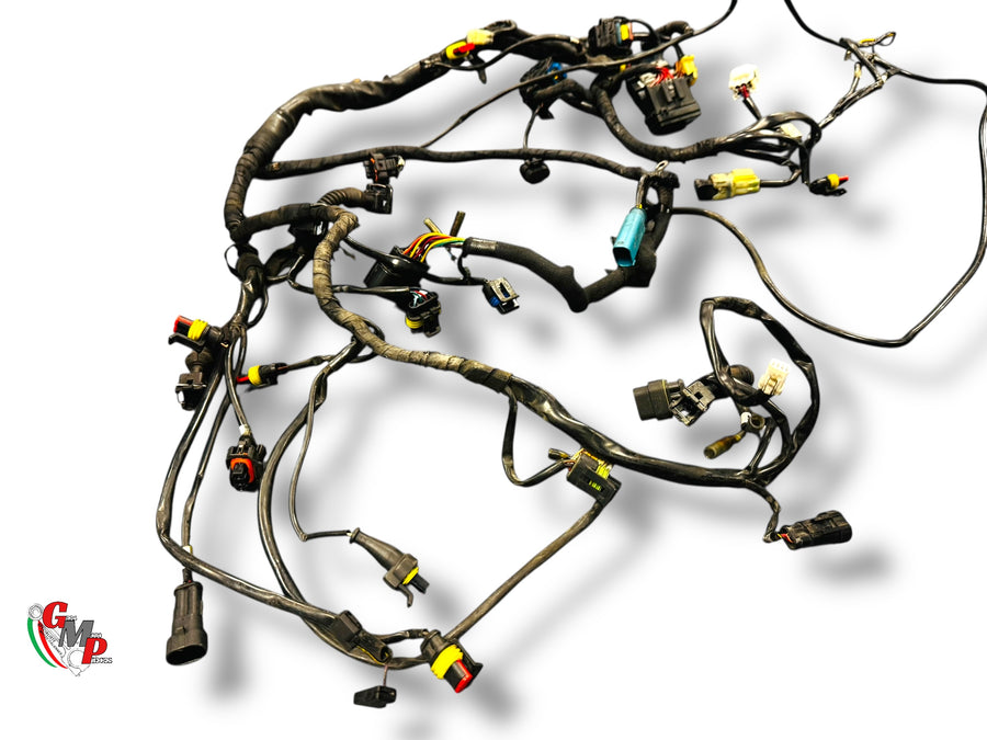 Electrical Harness - Ducati