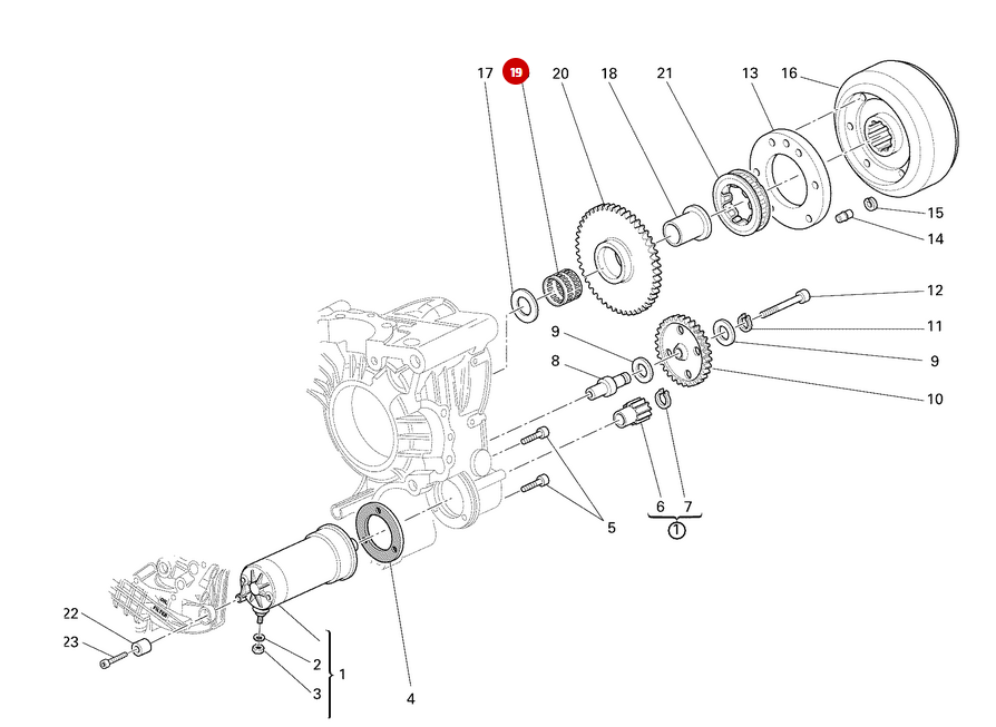 Cage à aiguille pignon rouge libre NEUF - Ducati