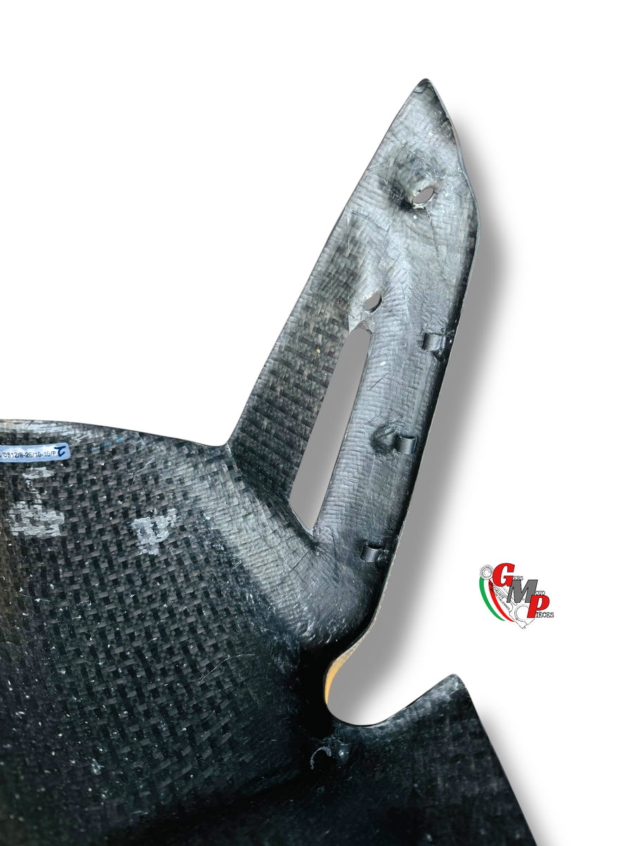 NEW Carbon front mudguard - Ducati