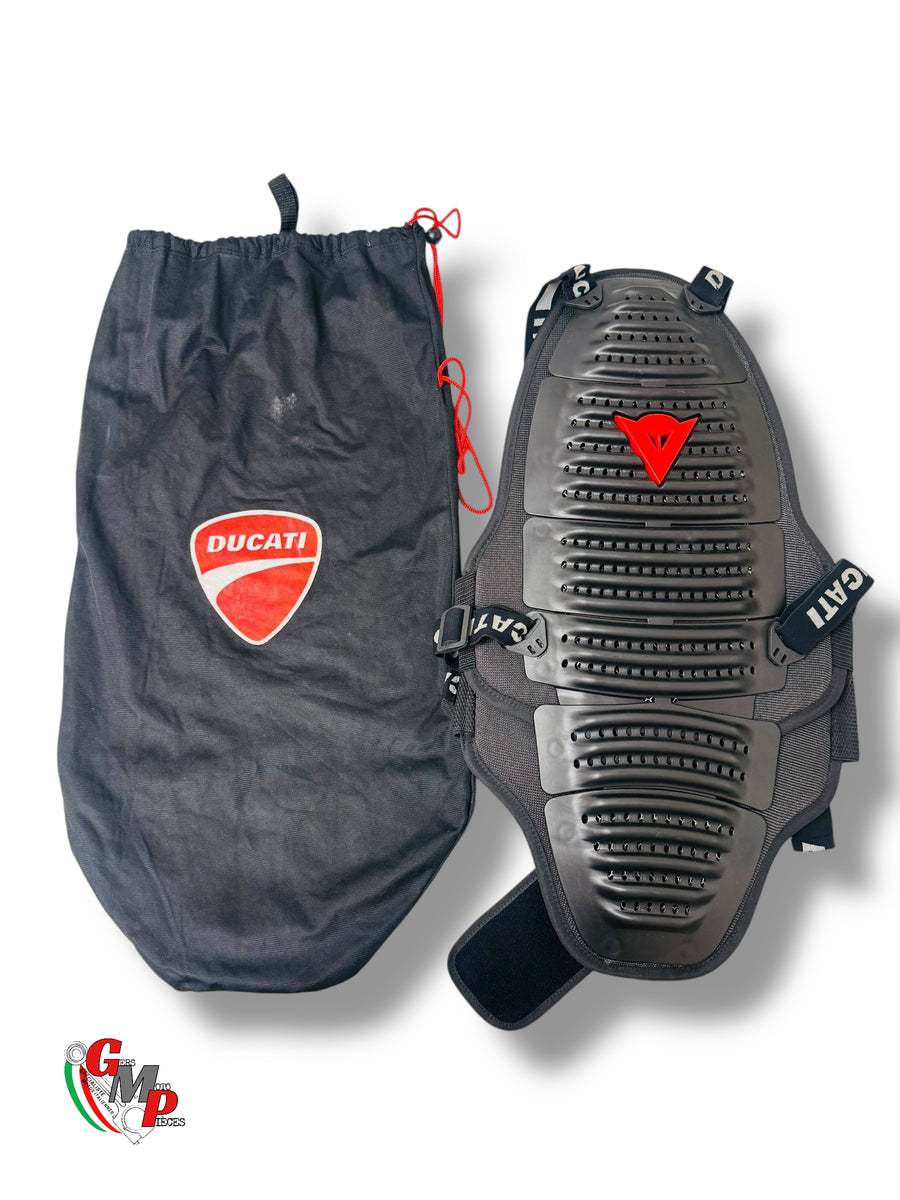 New Dainese Back Protector