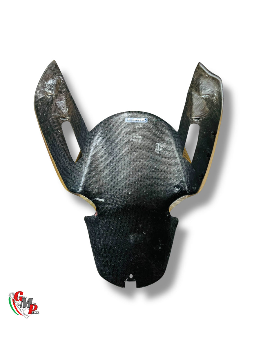 NEW Carbon front mudguard - Ducati