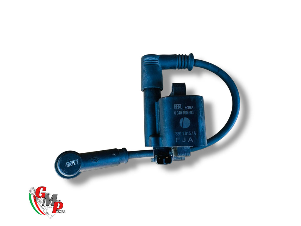 Ignition Coil without wires - Ducati Hypermotard Scrambler Monster Multistrada Supersport final horn