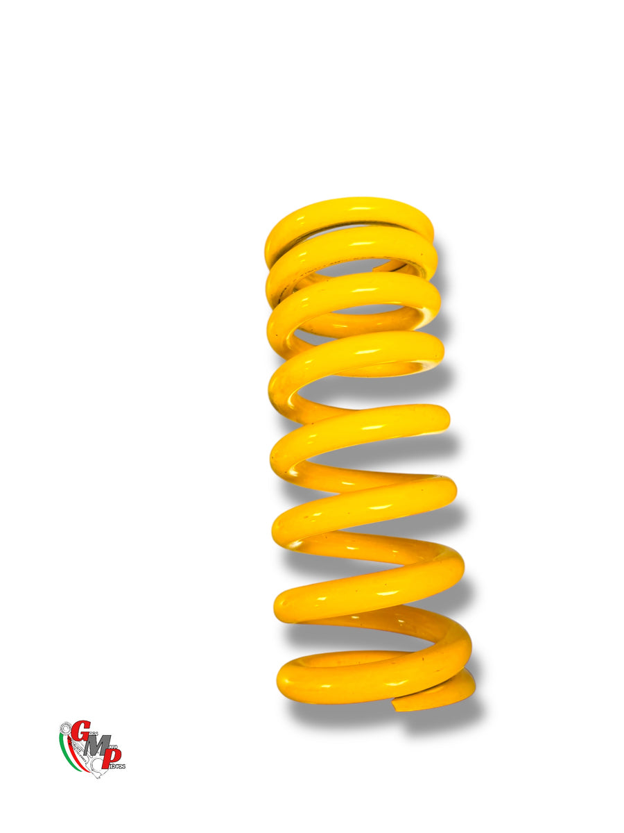 Controlled shock absorber spring - Ducati