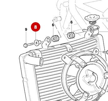Fork Oil Seal Diameter 43 - Ducati