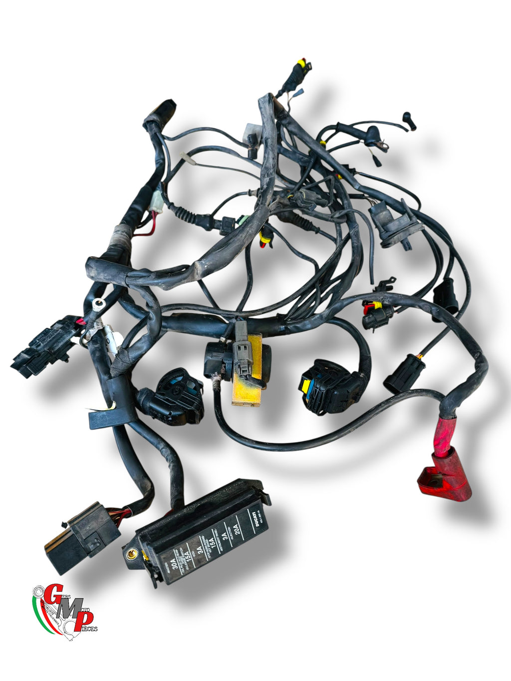 Faisceau électrique principale - Ducati