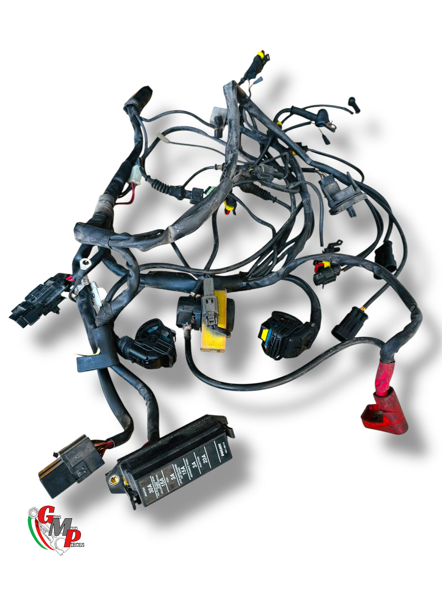 Main wiring harness - Ducati