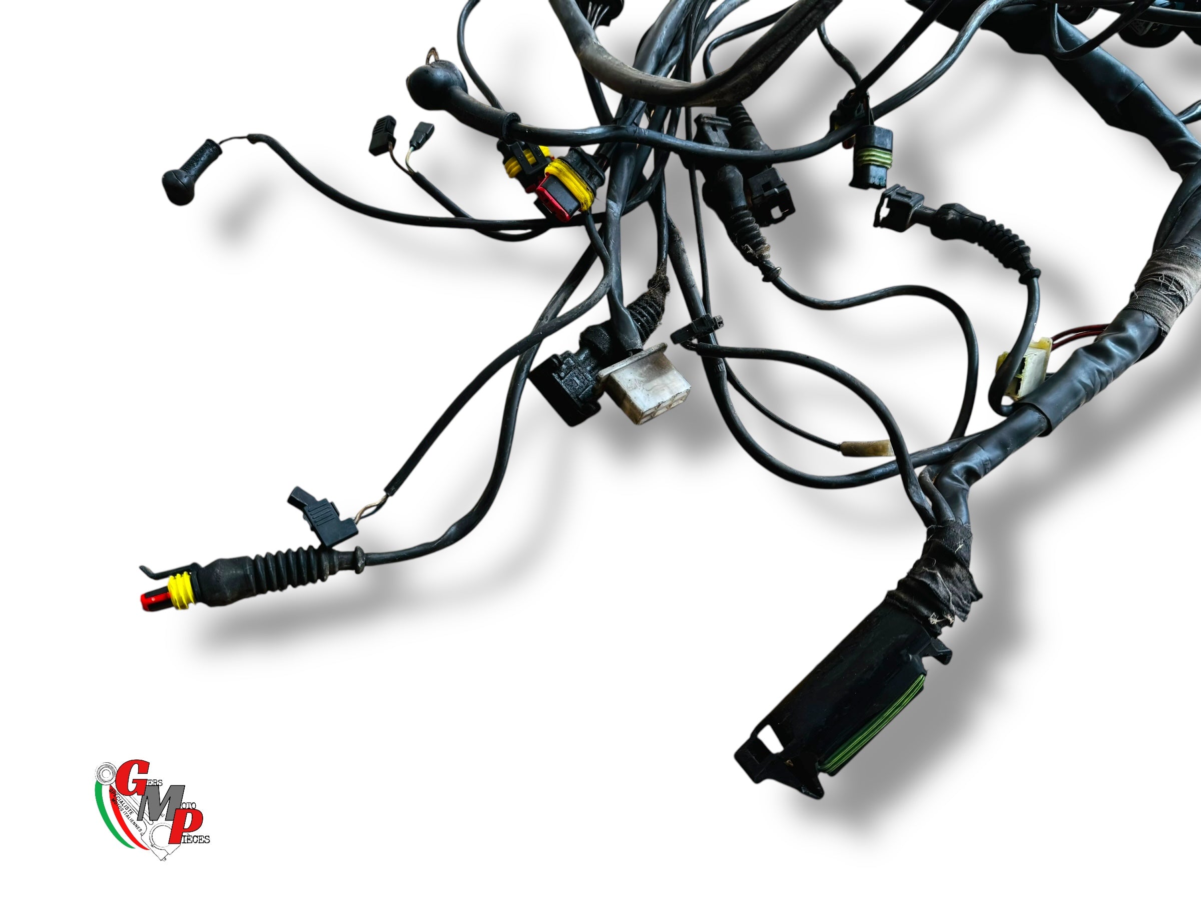 Faisceau électrique principale - Ducati