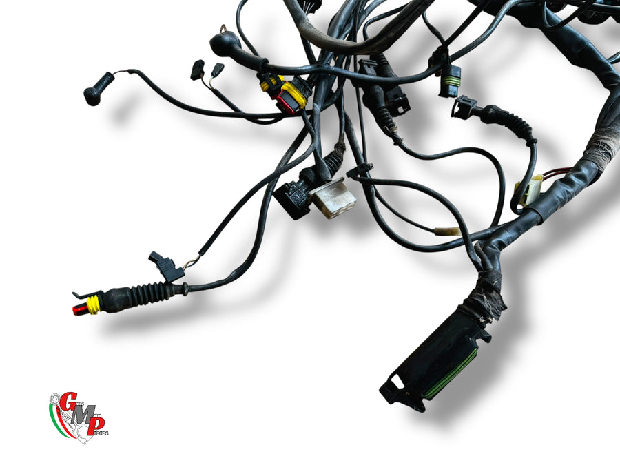 Main wiring harness - Ducati