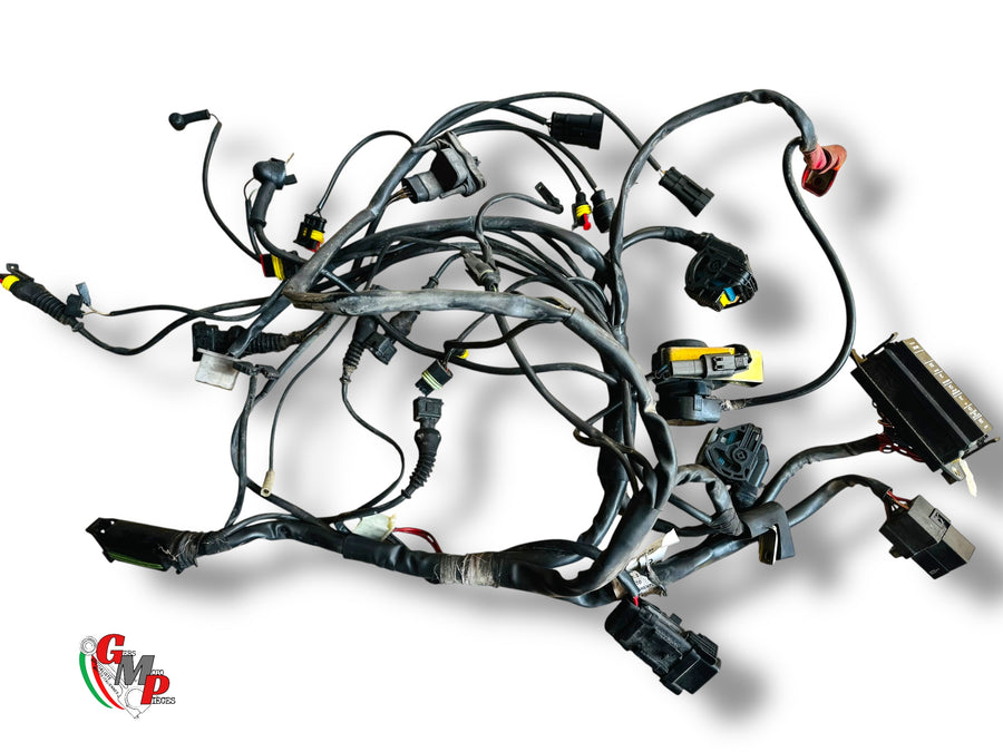 Main wiring harness - Ducati