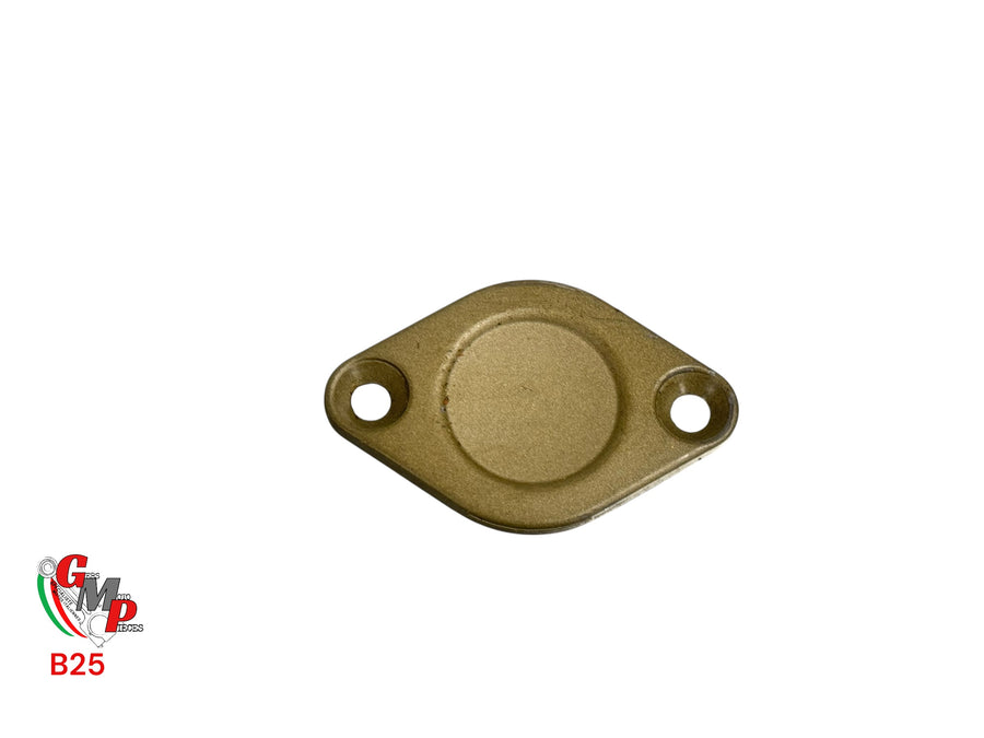 Alternator cover - Ducati