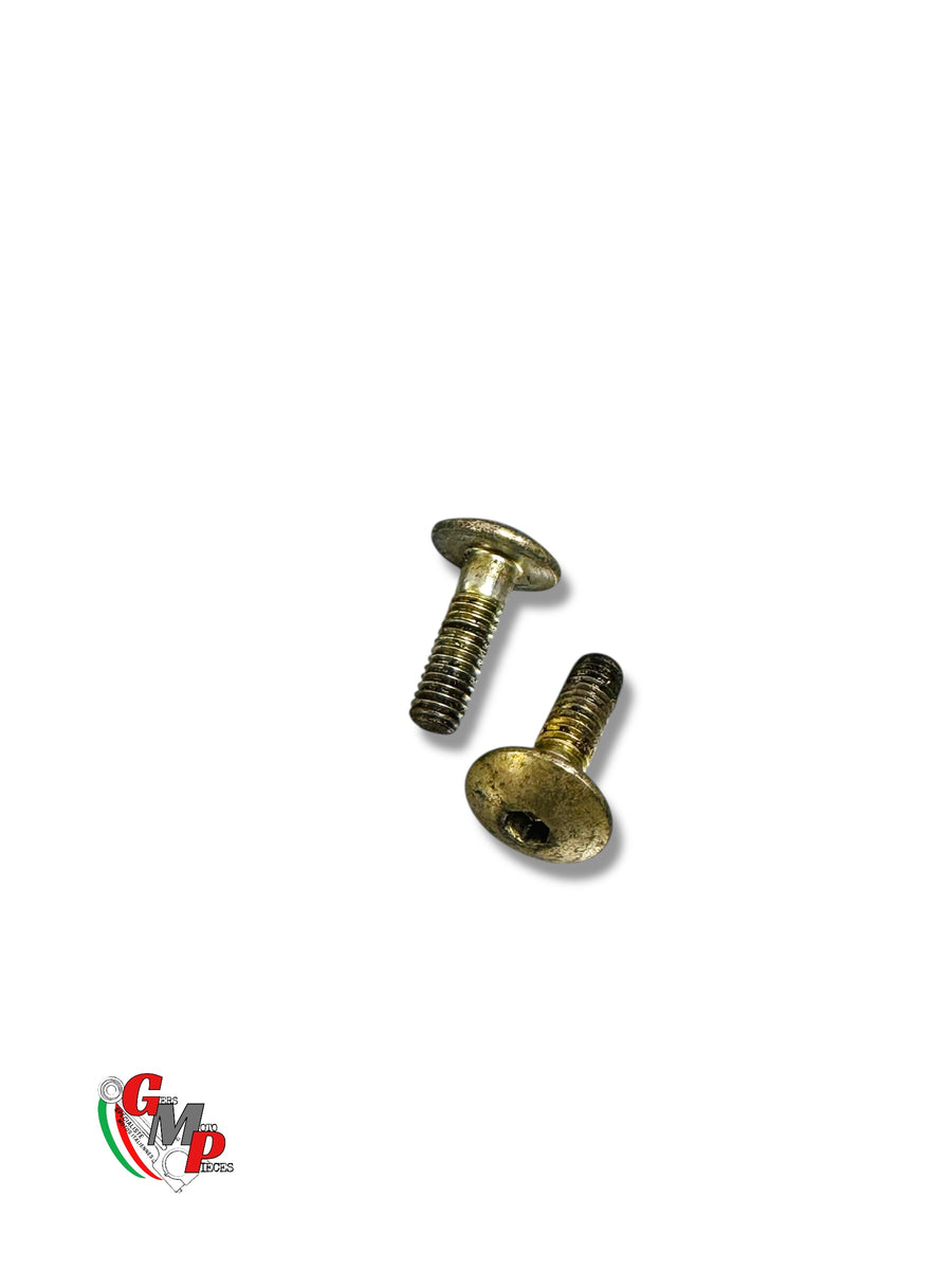 M6 pan head screw - Ducati