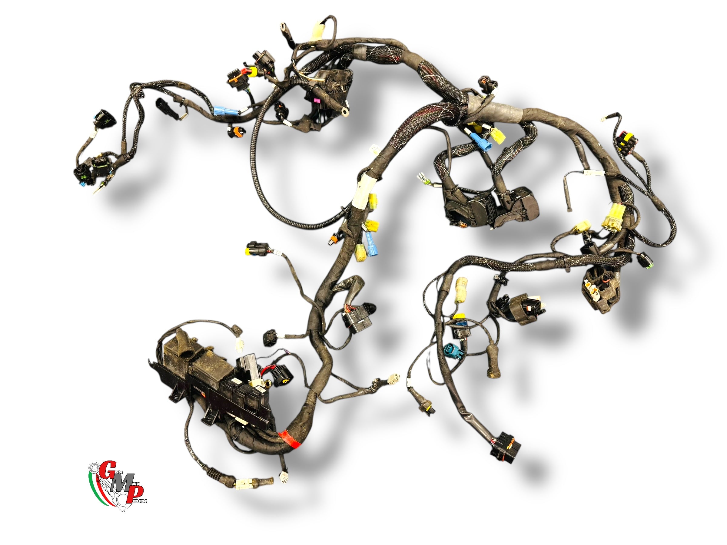 Faisceau électrique complet - Ducati