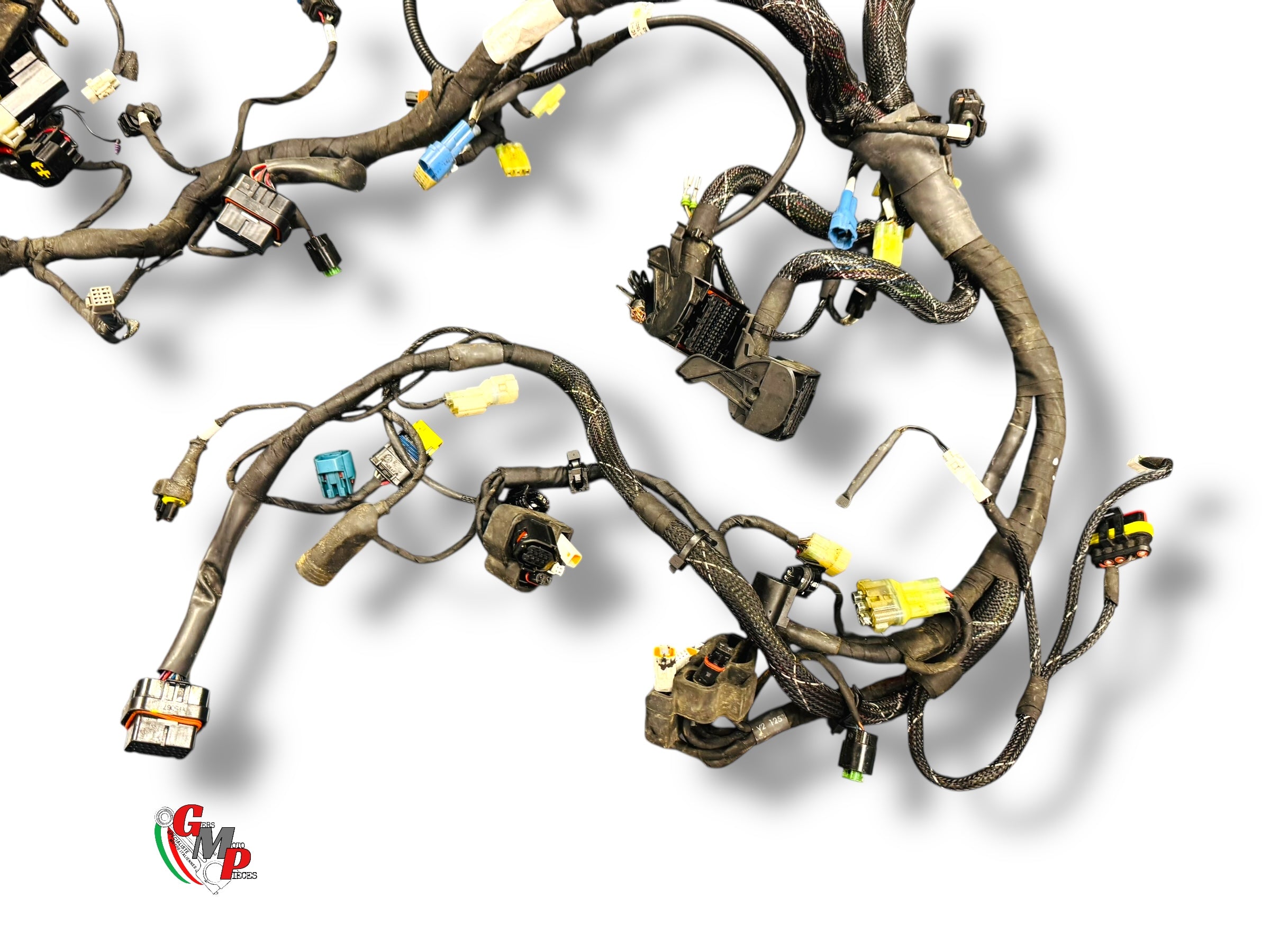 Faisceau électrique complet - Ducati