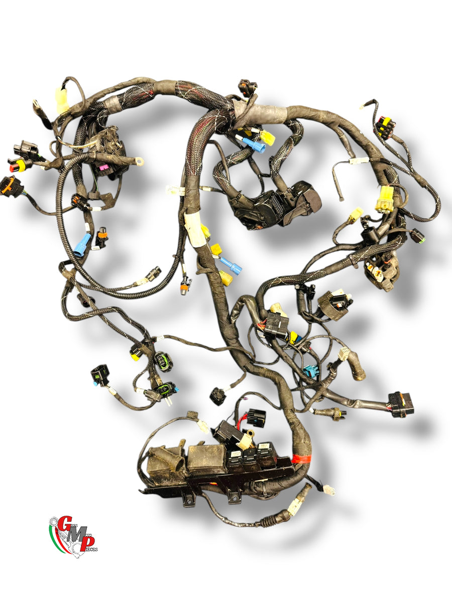Complete wiring harness - Ducati