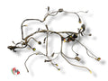 Complete wiring harness - Ducati