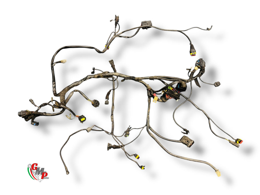 Complete wiring harness - Ducati