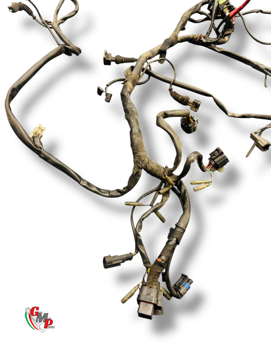 Complete wiring harness - Ducati