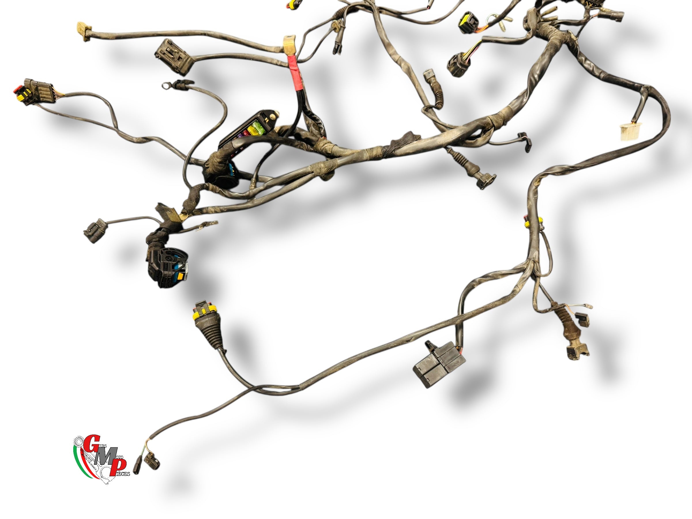 Faisceau électrique complet - Ducati