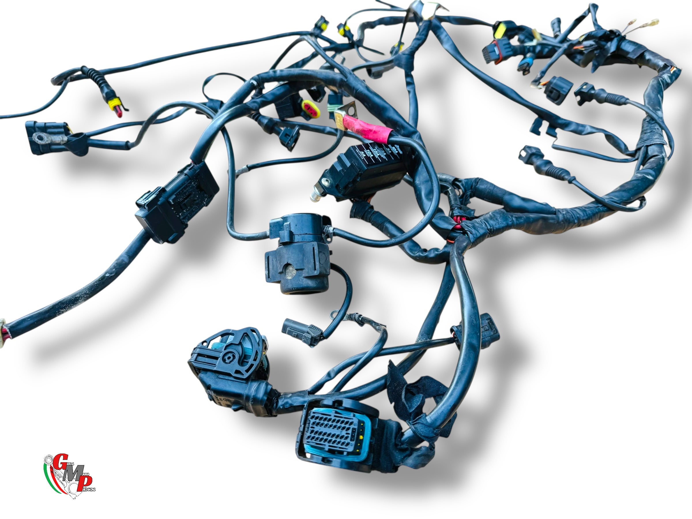 NEW Electrical Harness - Ducati