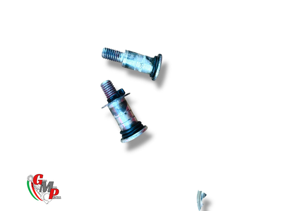 Gear Selector Screw - Ducati