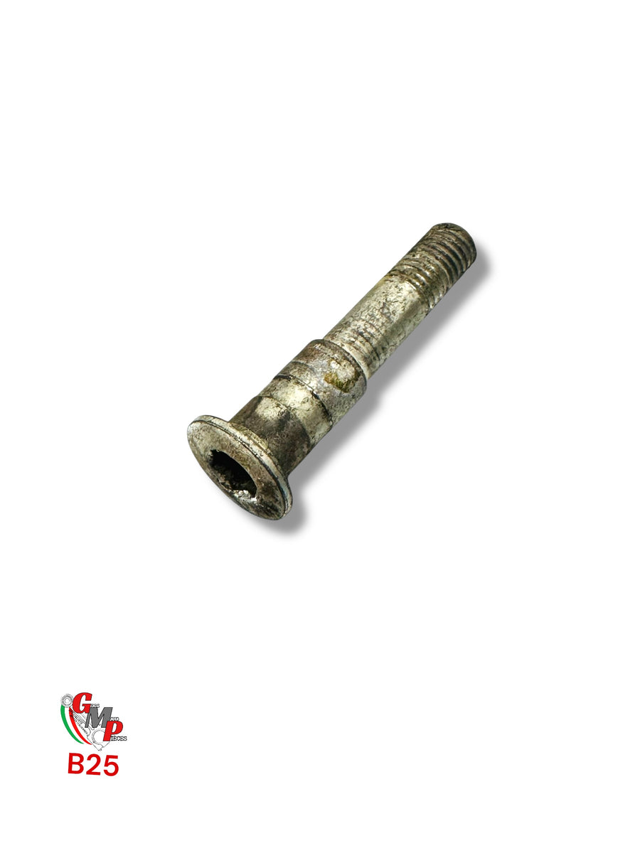 Rear Brake Pedal Pivot Screw - Ducati