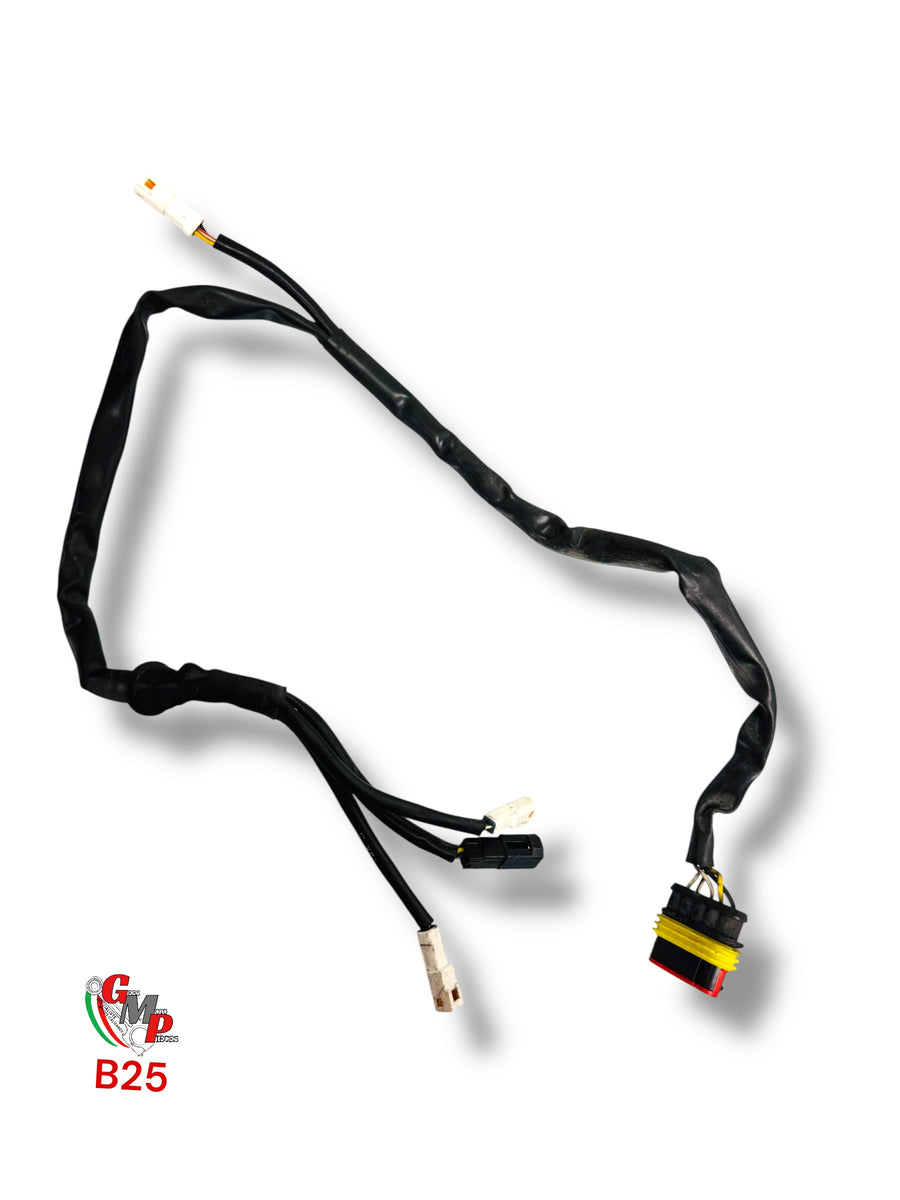Rear lighting wiring harness - Ducati