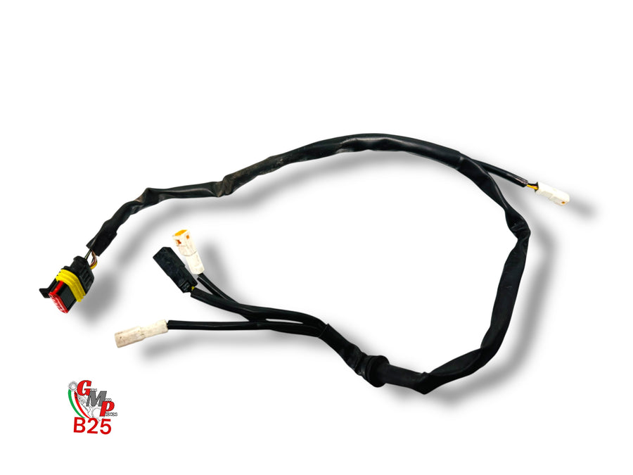 Rear lighting wiring harness - Ducati