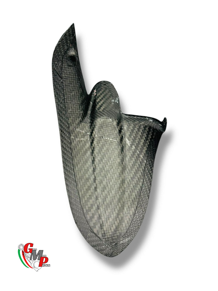 NEW Carbon rear mudguard - Ducati